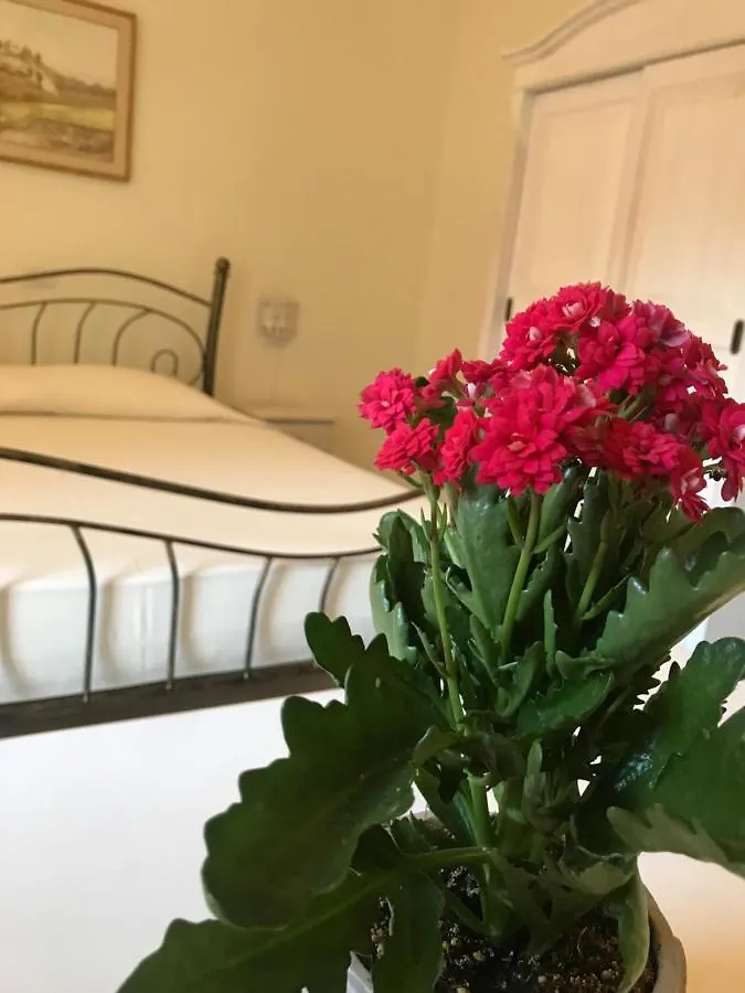 Domo Antiga Guest Rooms Sorso Guest house